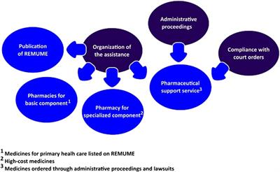 Strategies to Approach Medicines Litigation: An Action Research Study in Brazil